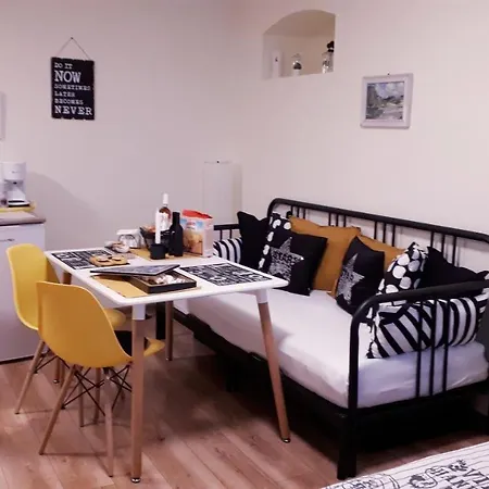 Vintage Studio Apartment Brasov