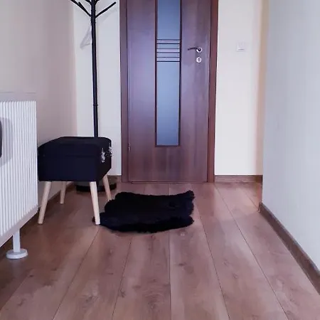 Apartment Vintage Studio Brasov