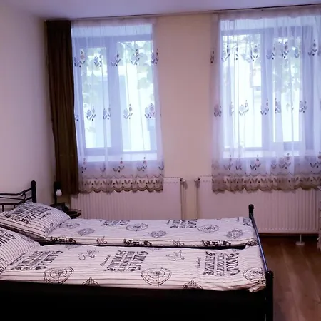 Vintage Studio Apartment Brasov